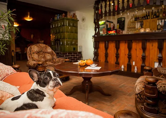 Halaszcsarda Etterem Es Panzio Galambok